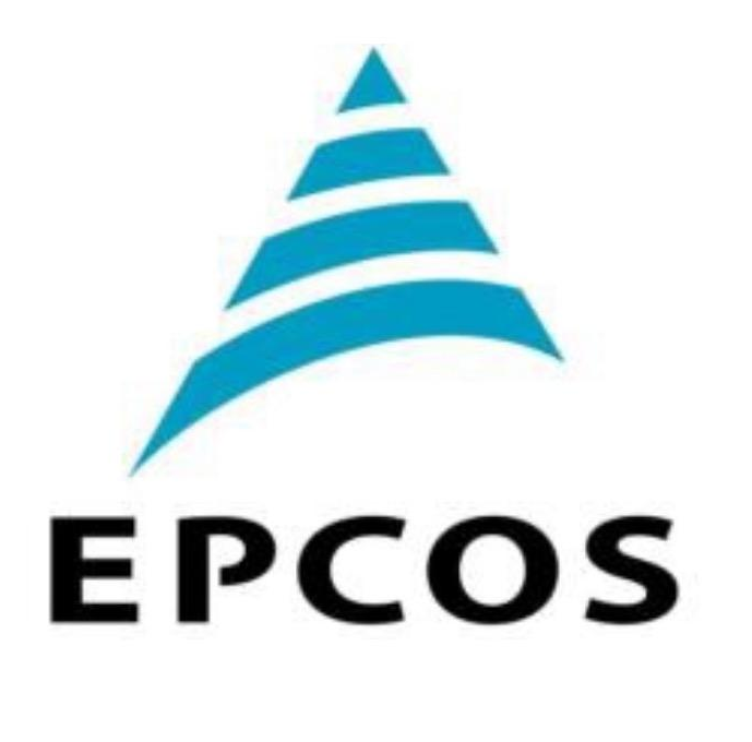 電容 愛普科斯 EPCOS